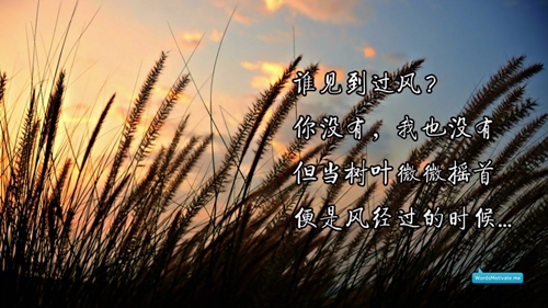 男生用啥頭像更吸引人8