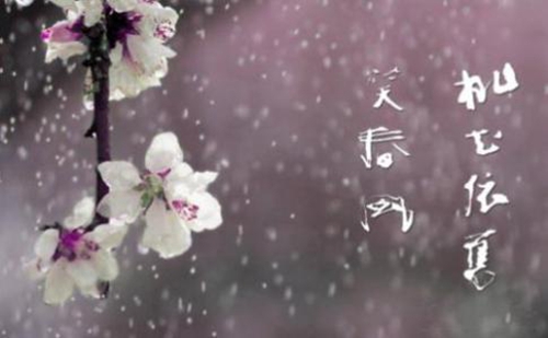 韓國(guó)女星搞怪頭像3