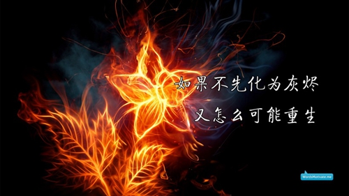 京劇美女青衣花旦帶動話頭像8