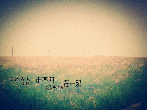 帥氣又炫酷又可愛的頭像7
