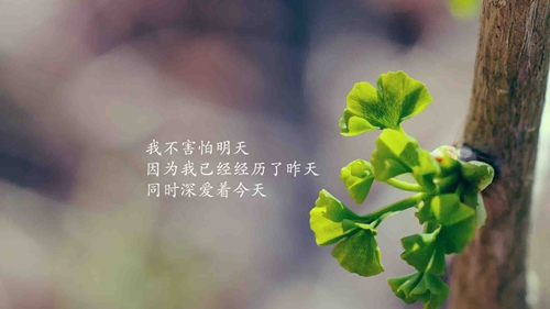 火影忍者斑霸氣頭像可愛3
