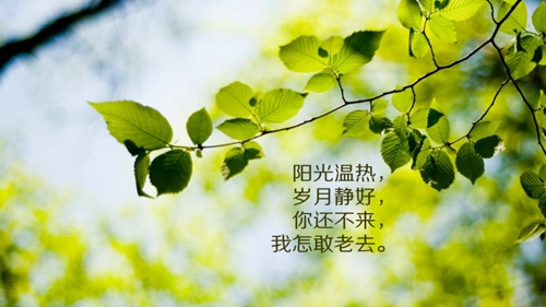 中年大媽美女圖片頭像3