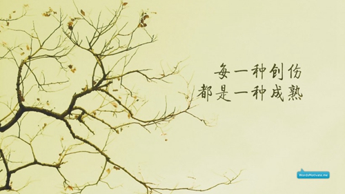 京劇美女青衣花旦帶動話頭像3