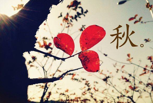 男傷感網名女仙氣帶符號