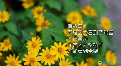 女生冷酷熱血網名2