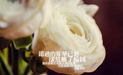 中俄弟兄般的友誼是什么歌