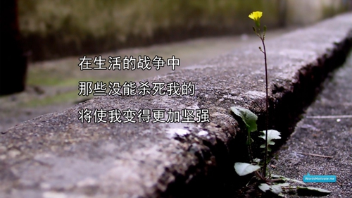 一個幽默的短信我想你