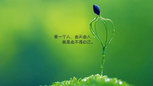 qq說說搞笑圖片